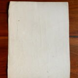 Iris botanical plate of the nineteenth century signed Turgas