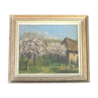 40's painting Trees in bloom signed C. Bizard