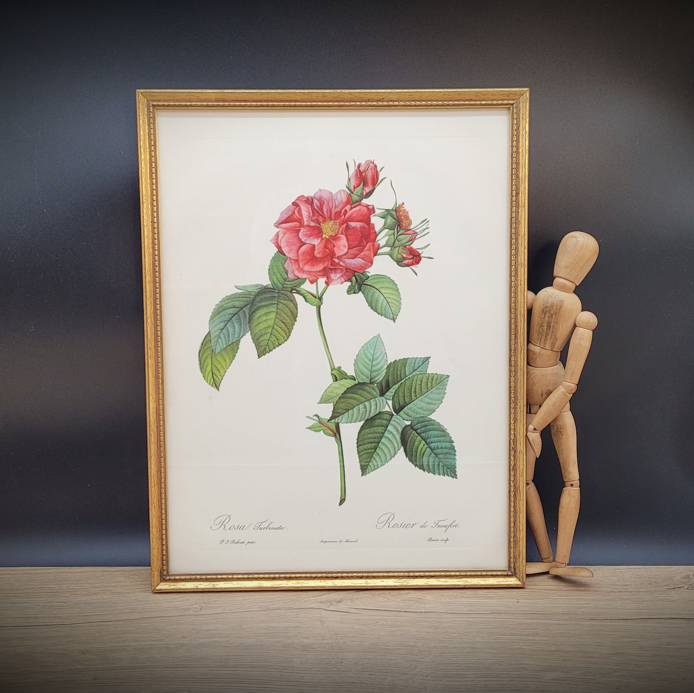 Lithograph Rosier Frankfurt