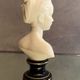 Bust of Louis Brongniart after Houdon in Limoges porcelain biscuit