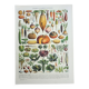 Old engraving 1928, Vegetables and vegetable plants, vegetable garden • Lithograph, Original plate