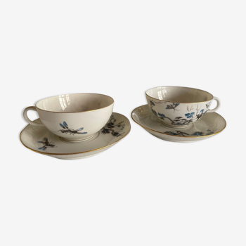 Fine porcelain tea cups