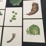 Tadashi Ohashi vegetable board, 1960