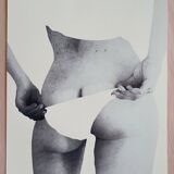 Pritney Bears illustration