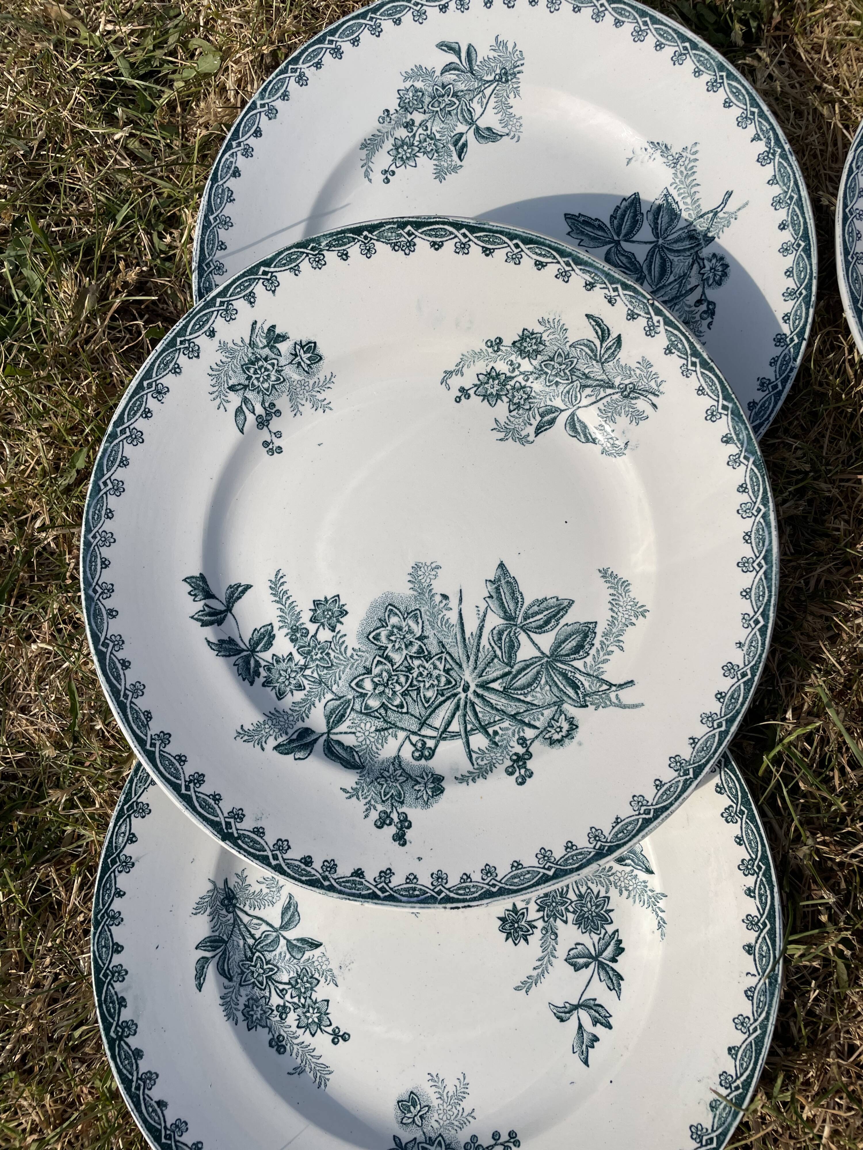 Set of 6 plates Terre de Fer model Margot Sté Amandinoise