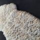 Real sheepskin 53x88cm