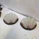 Pair of shell wall lights Art Deco 1930