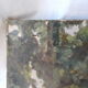 Oil on canvas from 1913 "young lady on a swing"