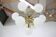 Mid-century chandelier/Sputnik/Kamenický Šenov, 1970´s