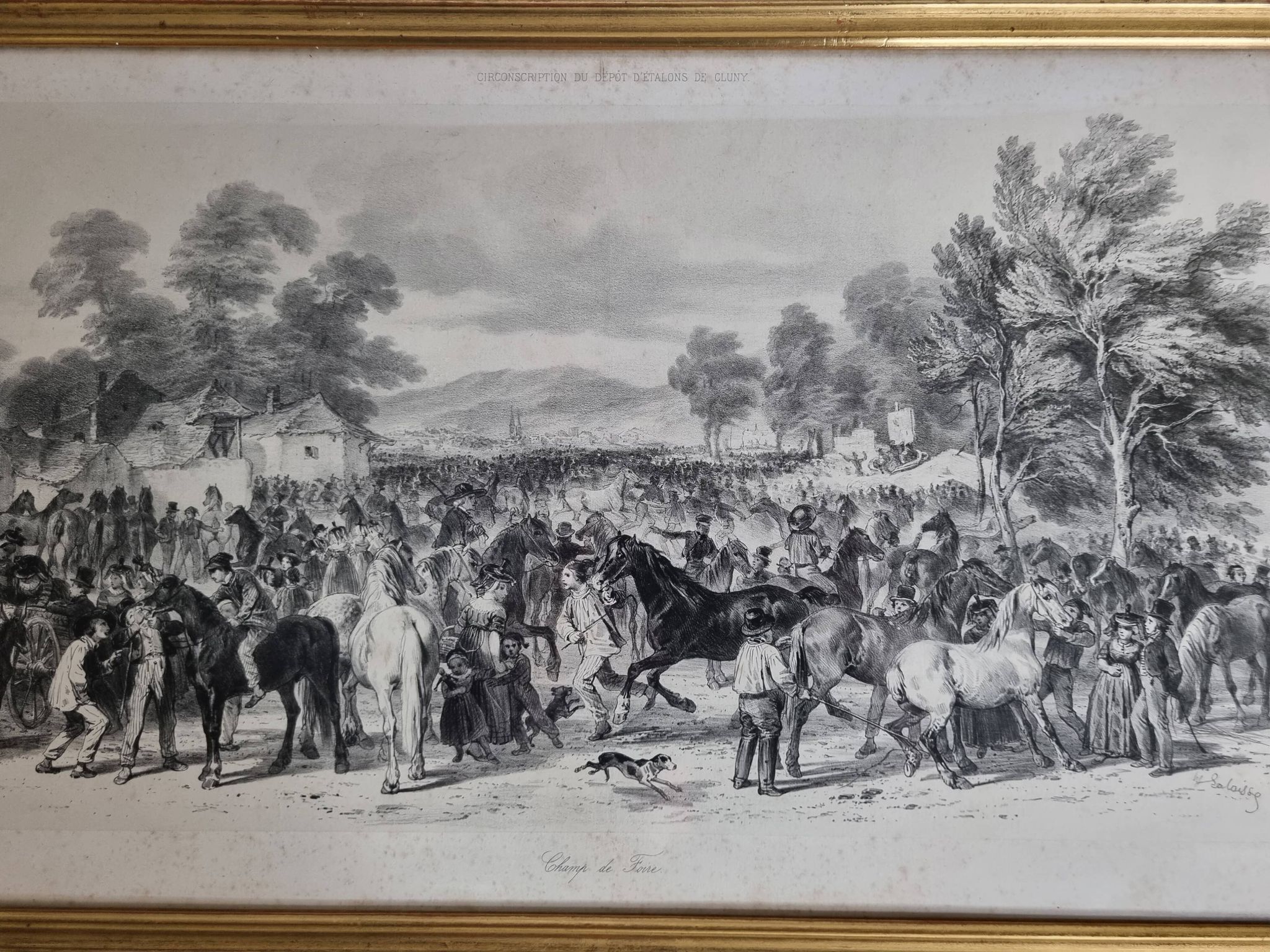 Original framed engraving of the nineteenth after Hippolyte Lalaisse, Cluny Stallion Fair