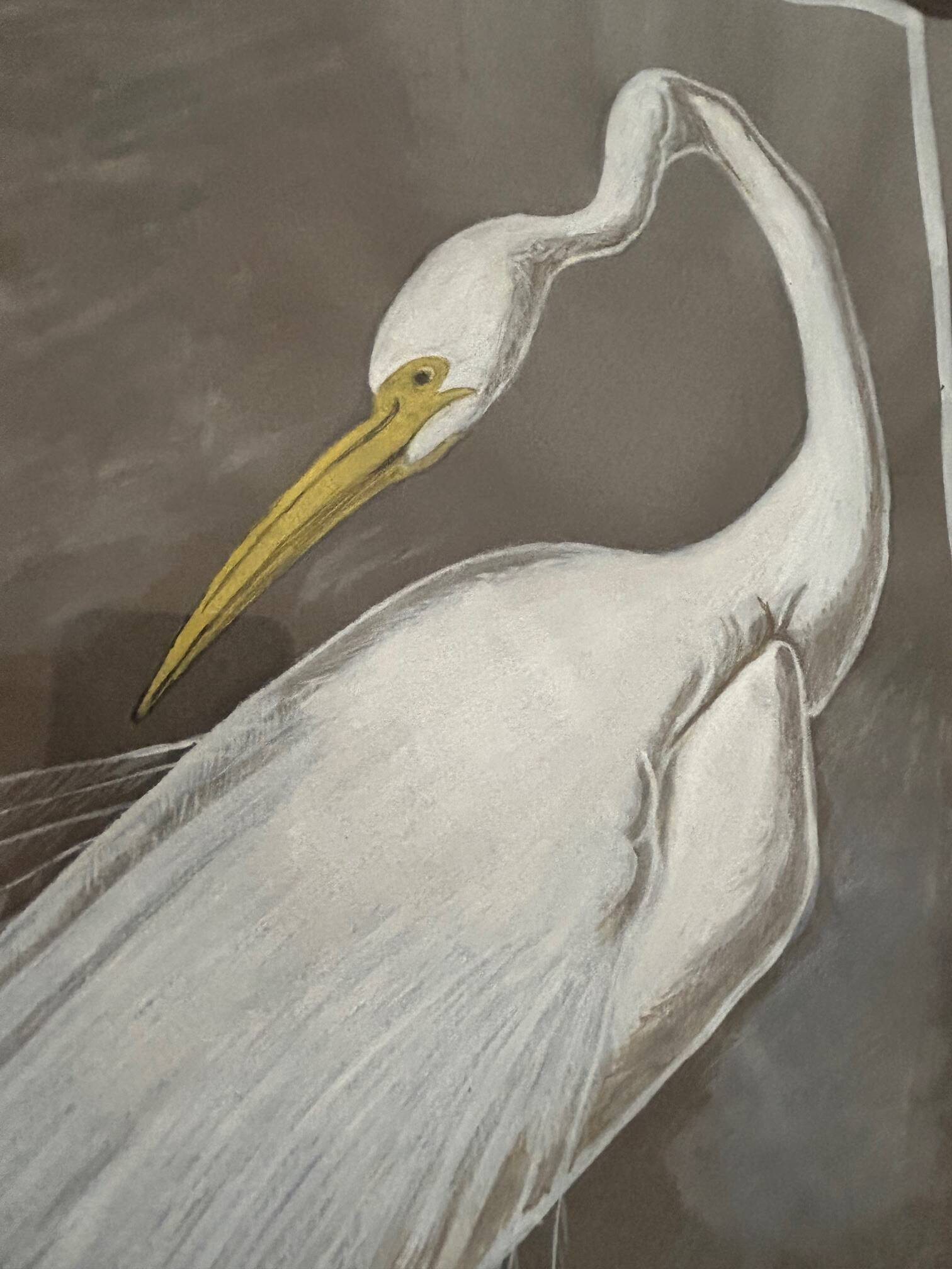 mixed media heron drawing