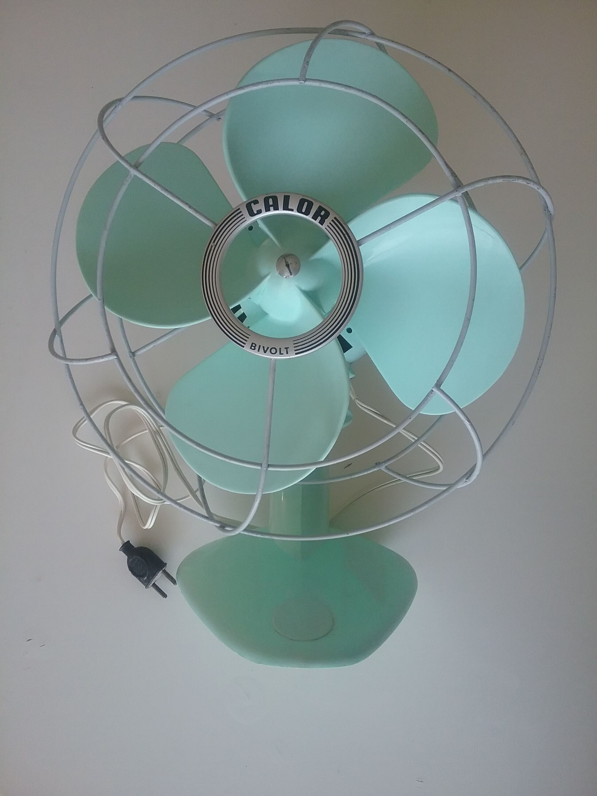Calor fan