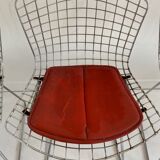 Set of 4 chrome side chairs Bertoia from Knoll, c.1960