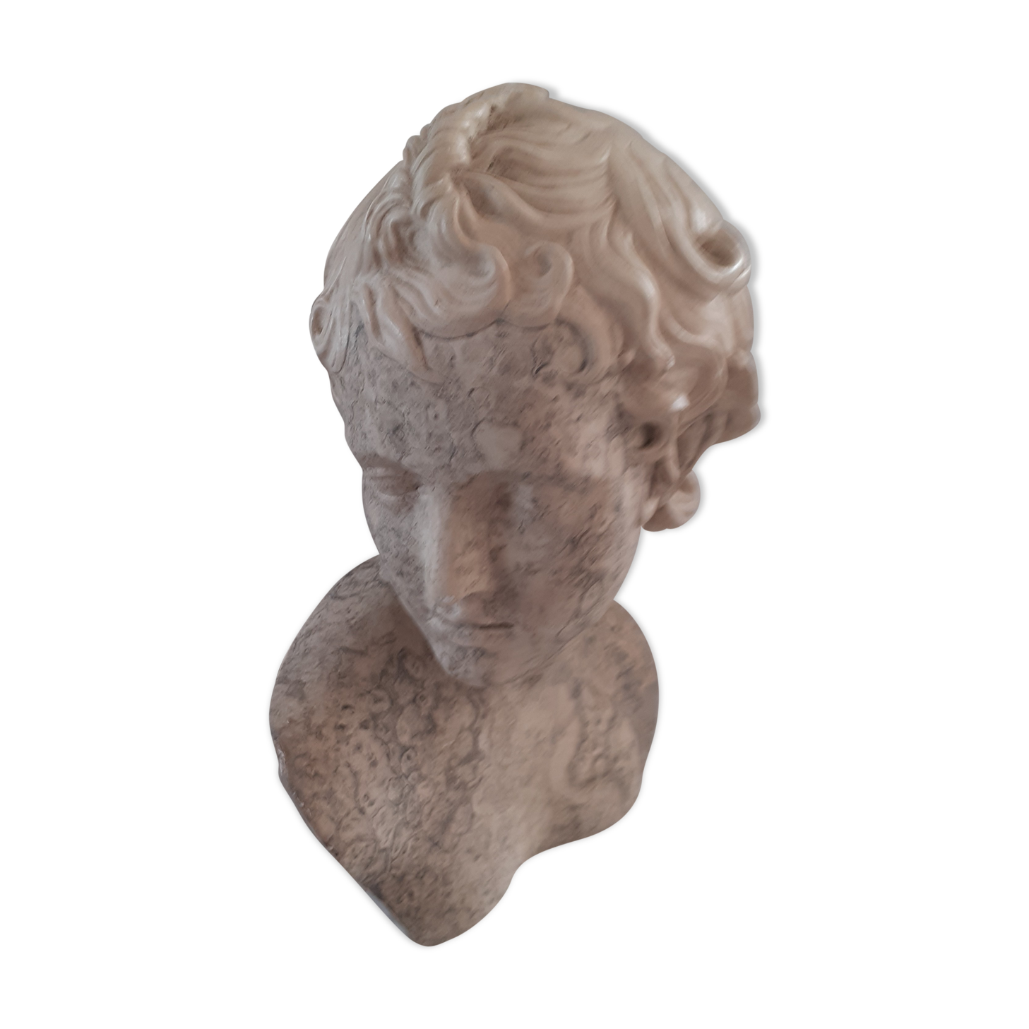 Plaster bust David 1970s