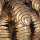 Lampadaire en palmier francaise du xxe siecle, christian techoueyres pour maison jansen