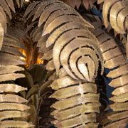 20thC FRENCH PALM TREE FLOOR LAMP, CHRISTIAN TECHOUEYRES FOR MAISON JANSEN