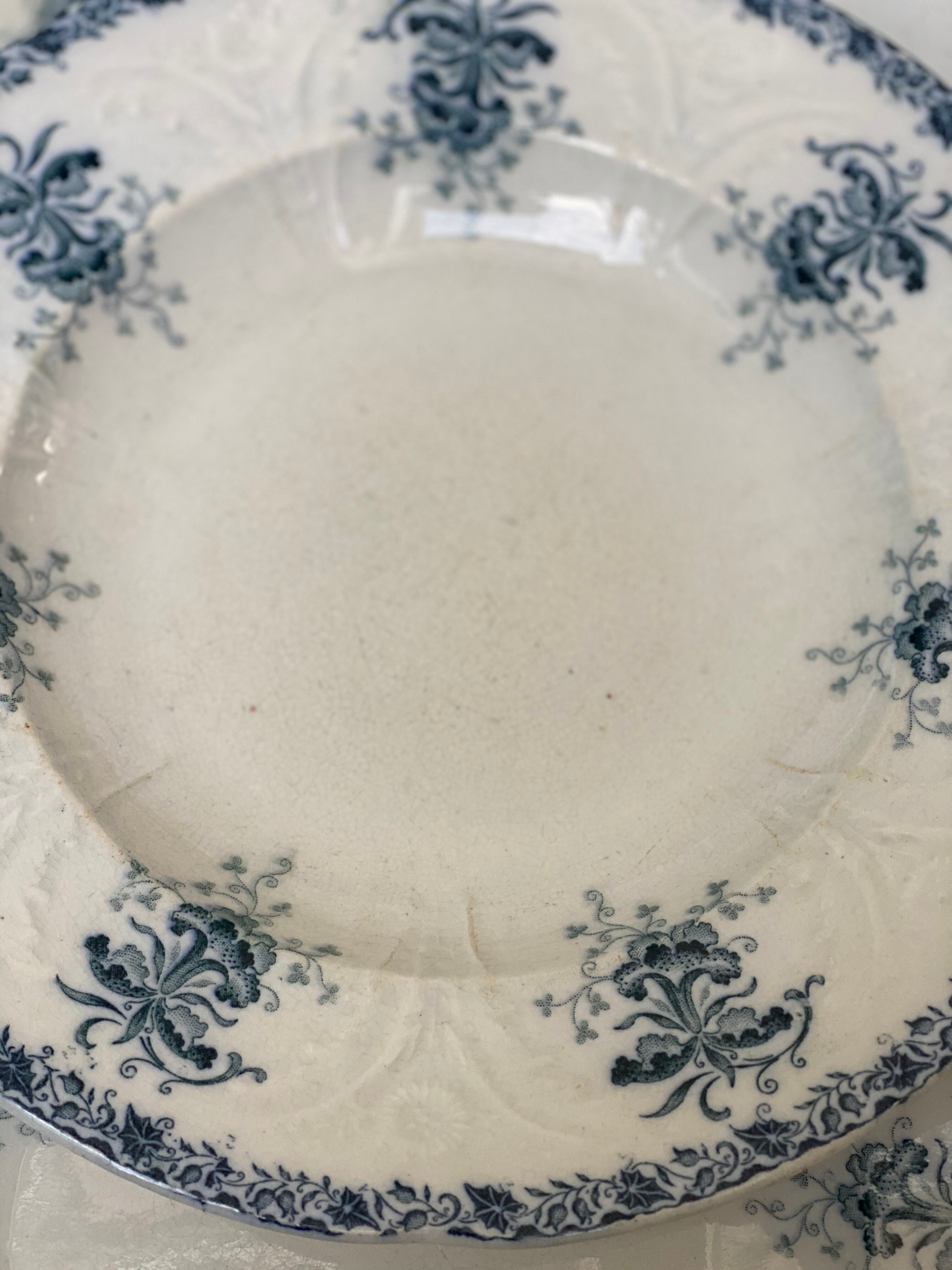 Plates iron earth flowers