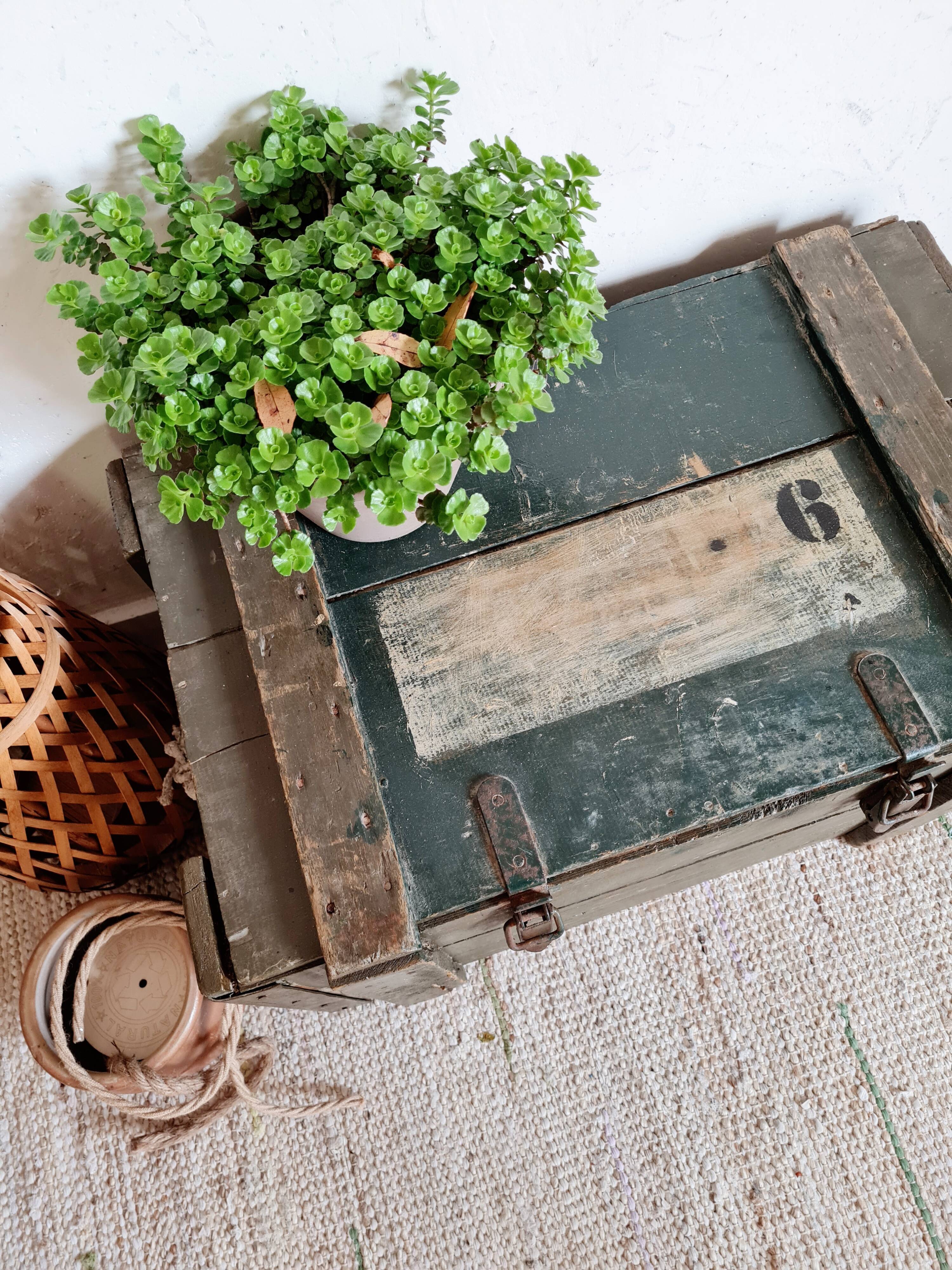 Old green military crate or trunk