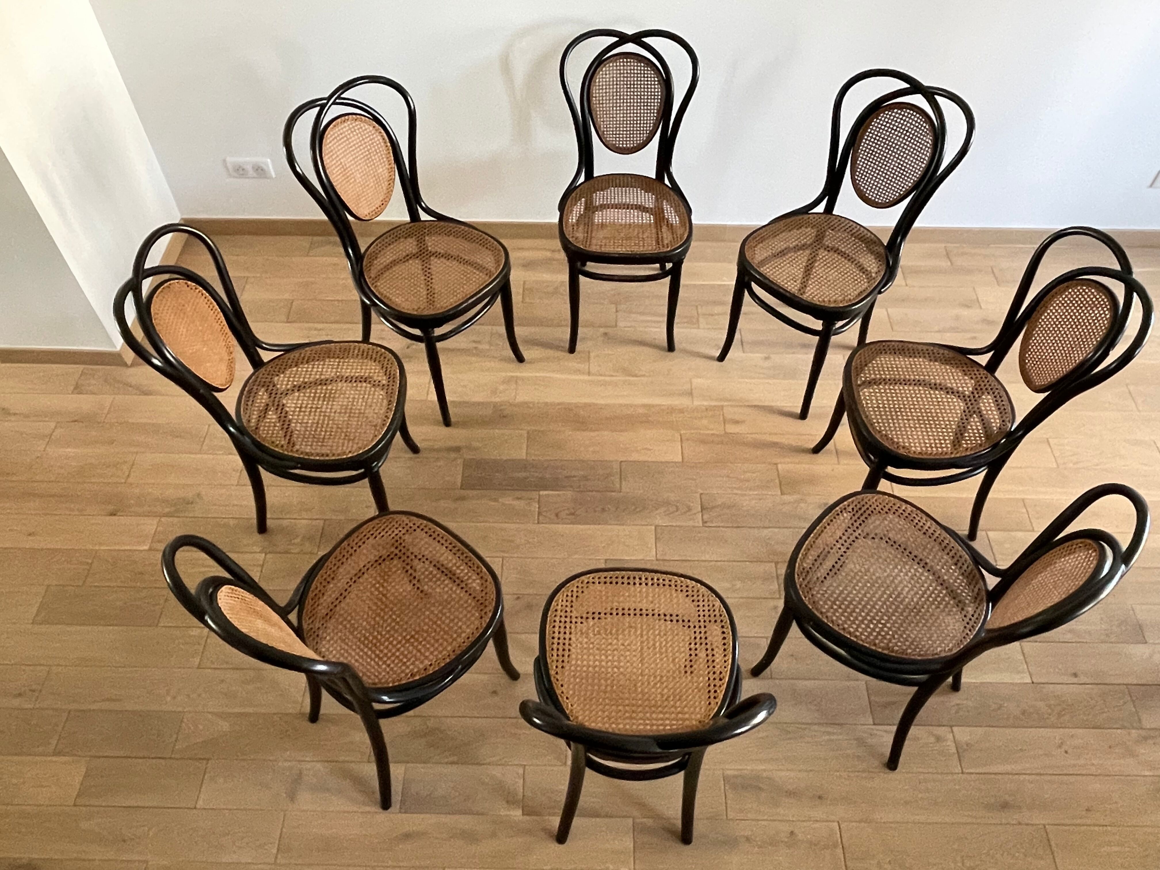 Series of 8 Viennese chairs N.33 by J&J Kohn, 1900