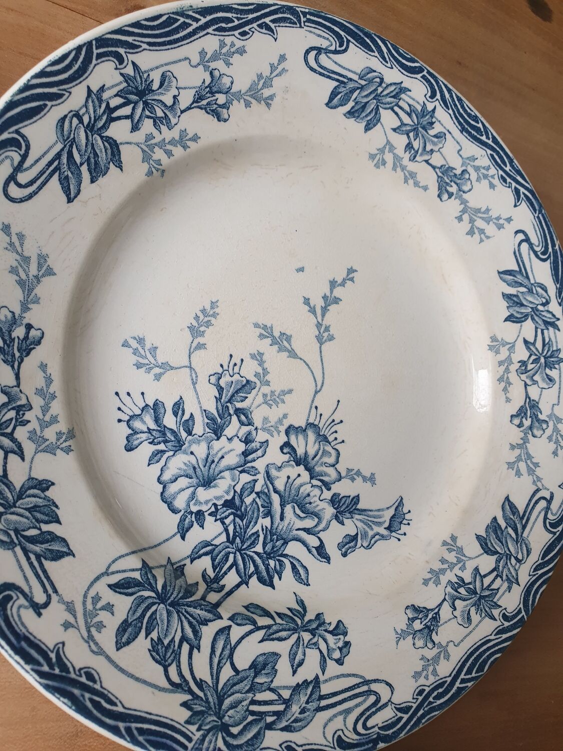 Longwy Azalea plates