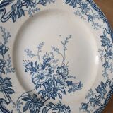 Longwy Azalea plates