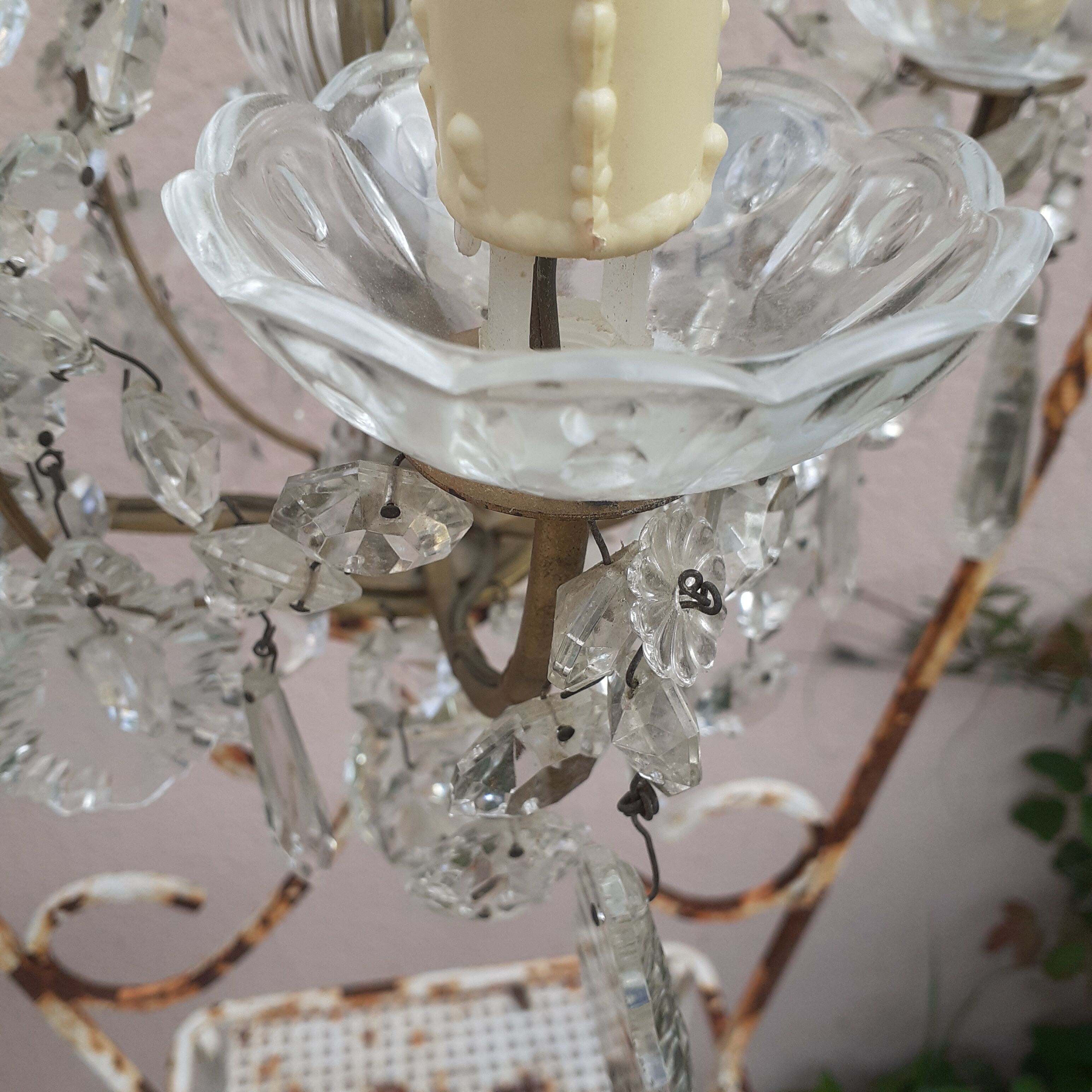 Grapefruit suspension.  4 lamps.