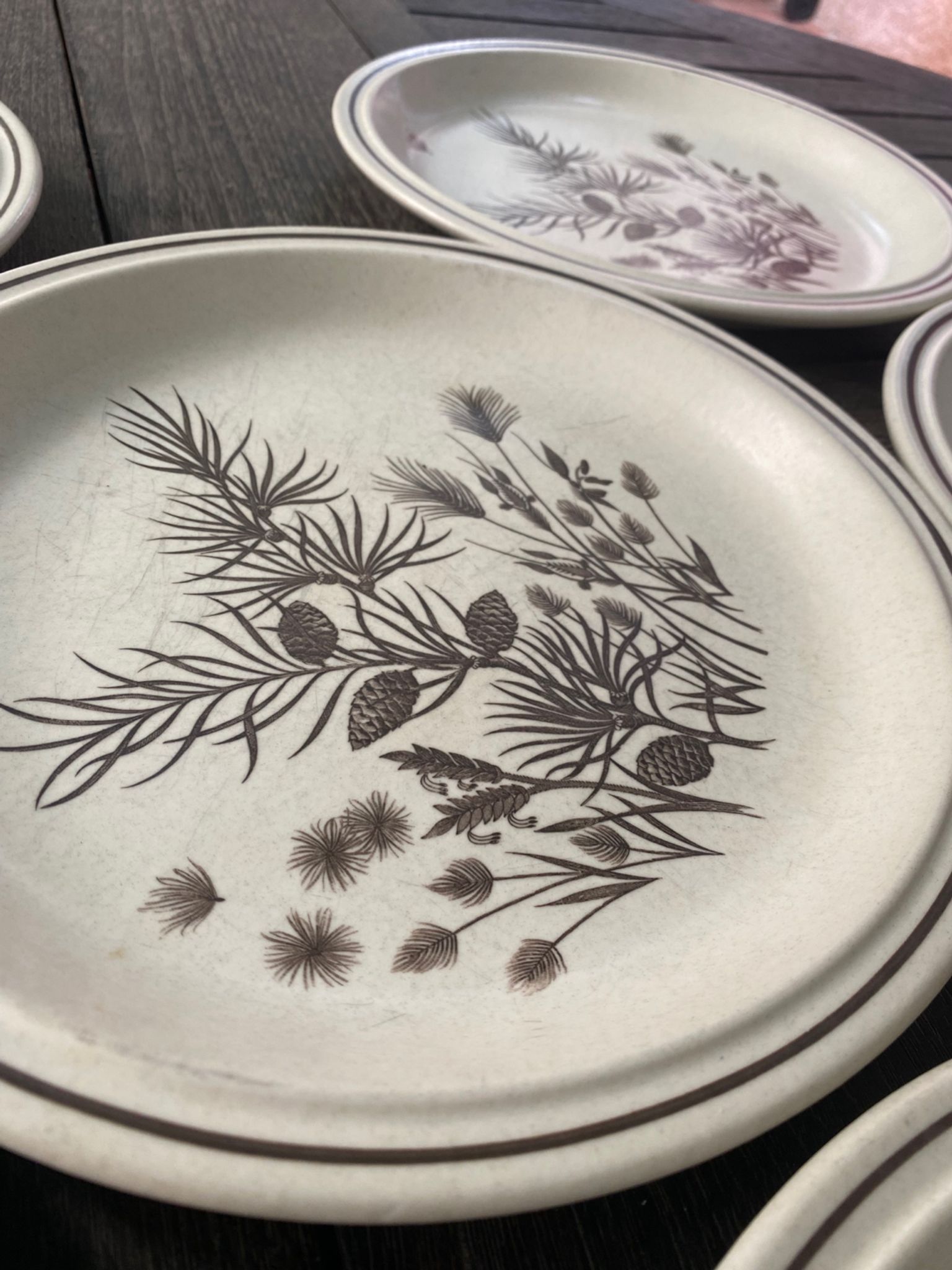 6 assiettes plates Pinewood vintage