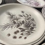 6 assiettes plates Pinewood vintage