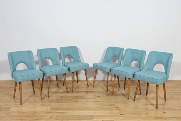 Chaises Shell de l'usine de meubles de Bydgoszcz, années 1960, Pologne, ensemble de 6.