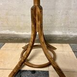 Baumann parrot coat rack