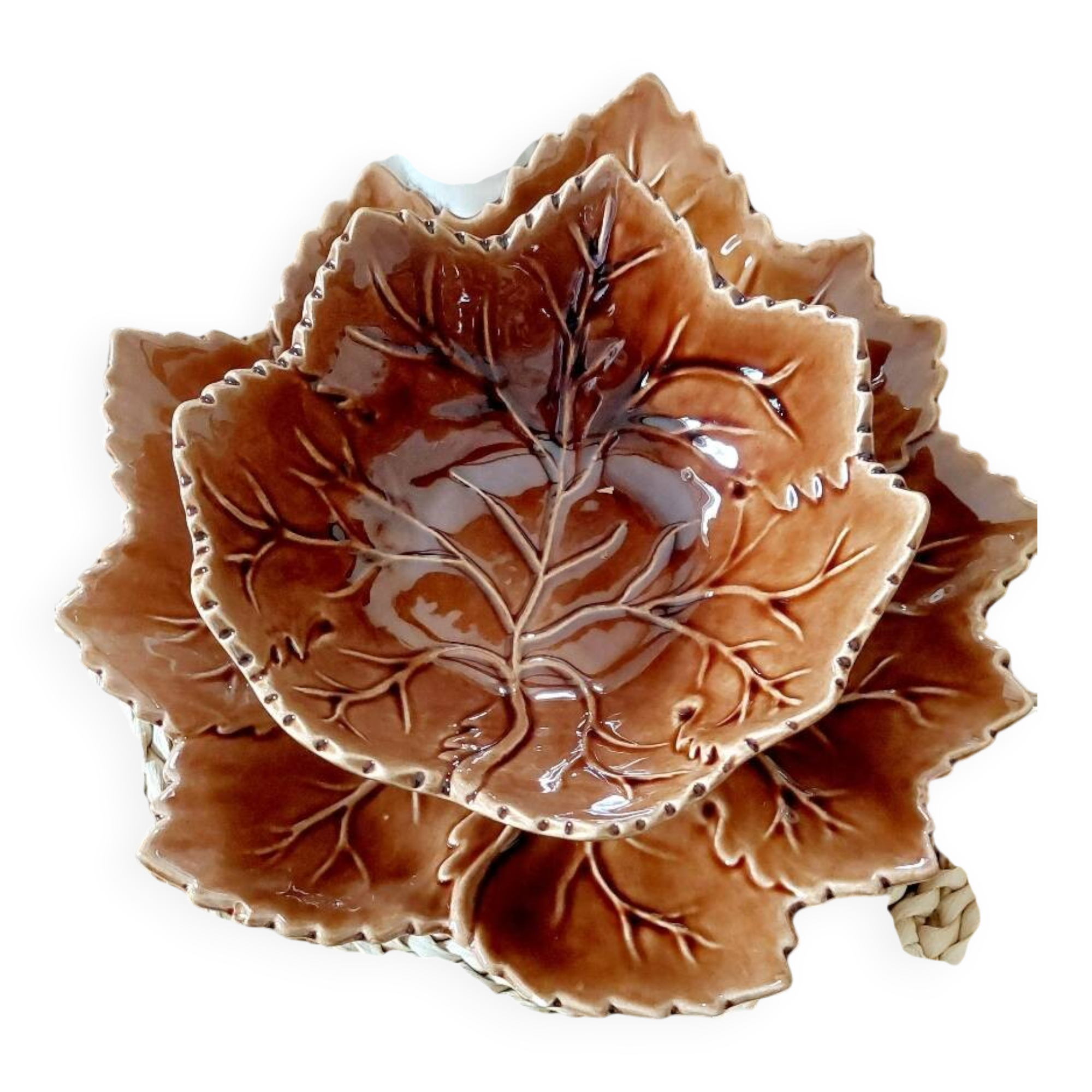 Olfaire oak leaf slip set