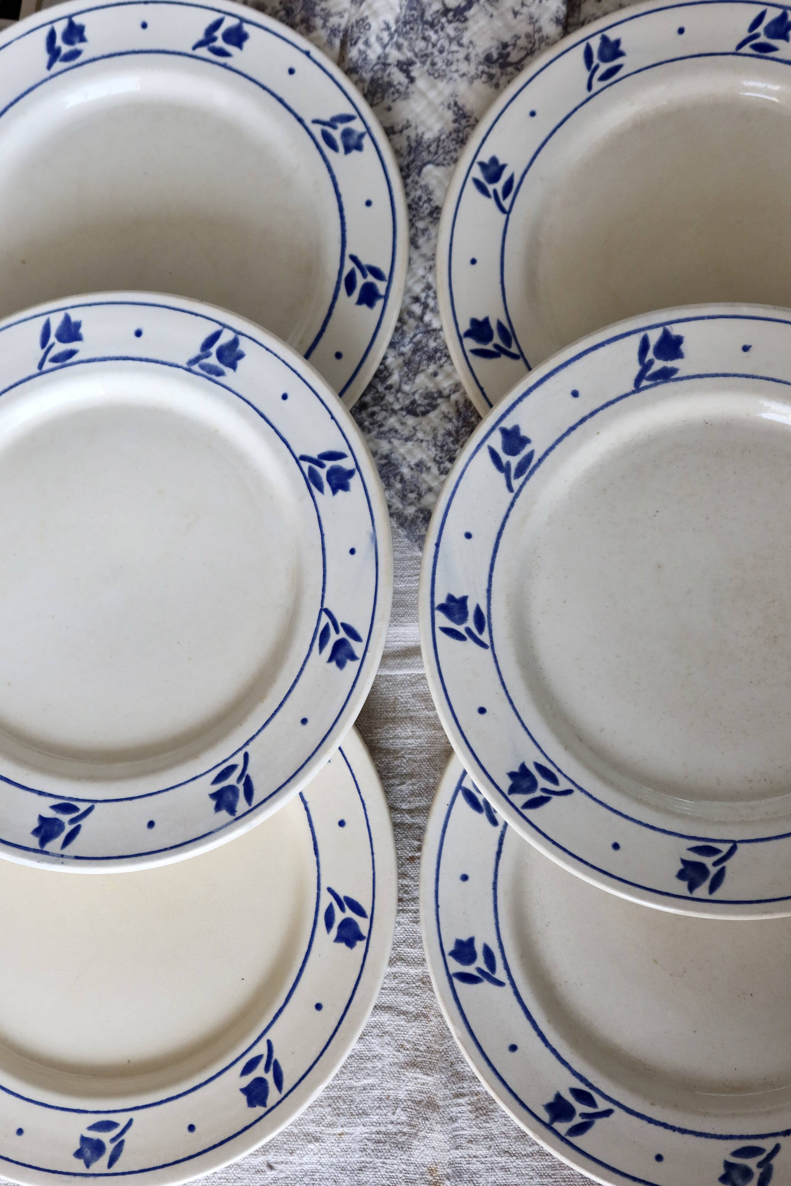 6 antique earthenware dinner plates - Blue tulip decor