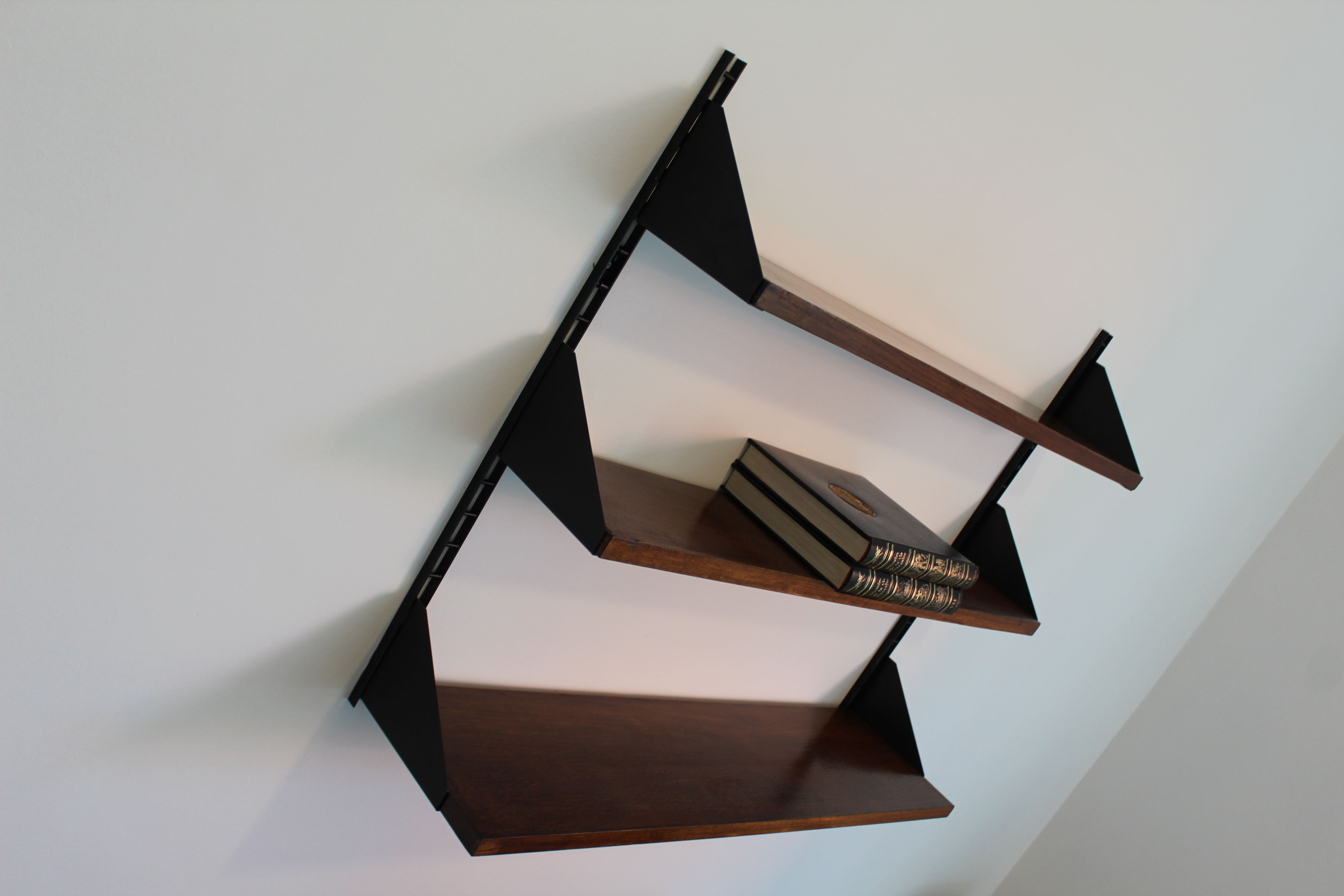 Shelves in rosewood and black lacquered metal from the 50s