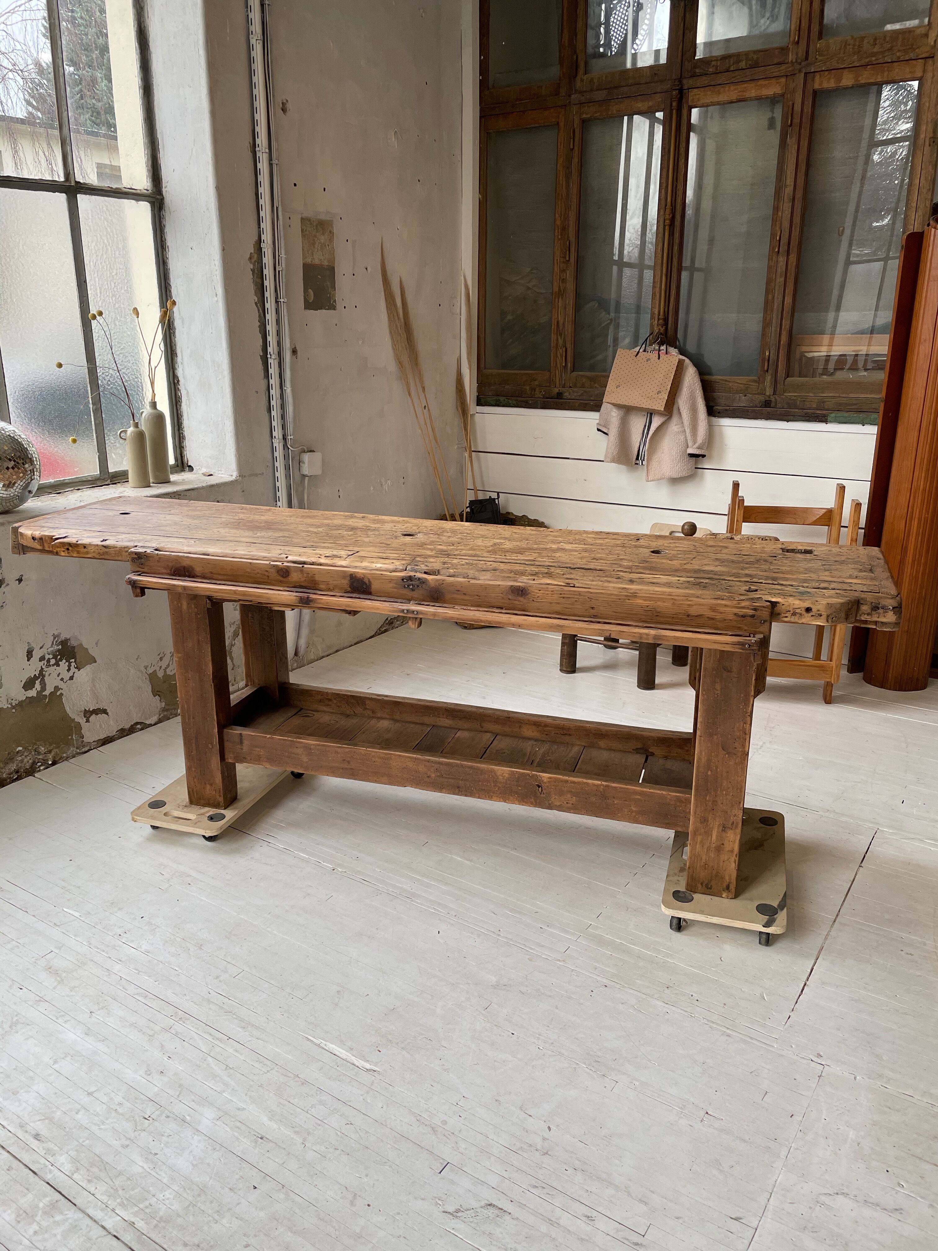 Established old oak XL