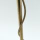 Brass desk lamp from the 70's