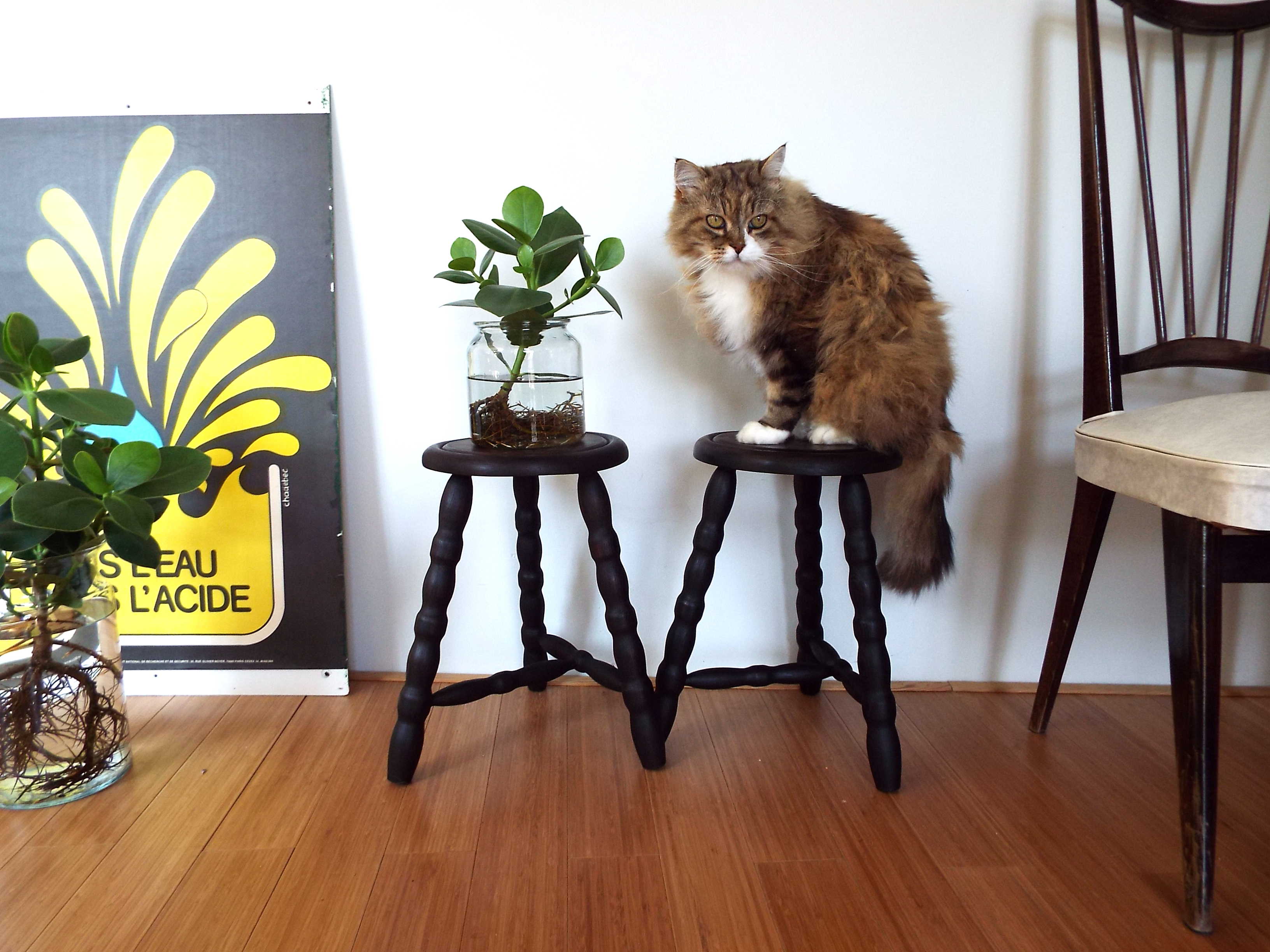 Pair of turned wooden tripod stools