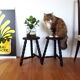 Pair of turned wooden tripod stools