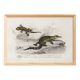 Poster about the Caiman and the Gecko, based on an old engraving from 1849.