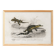 Poster about the Caiman and the Gecko, based on an old engraving from 1849.