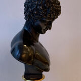 Pair of bronze busts Venus and Antinous
