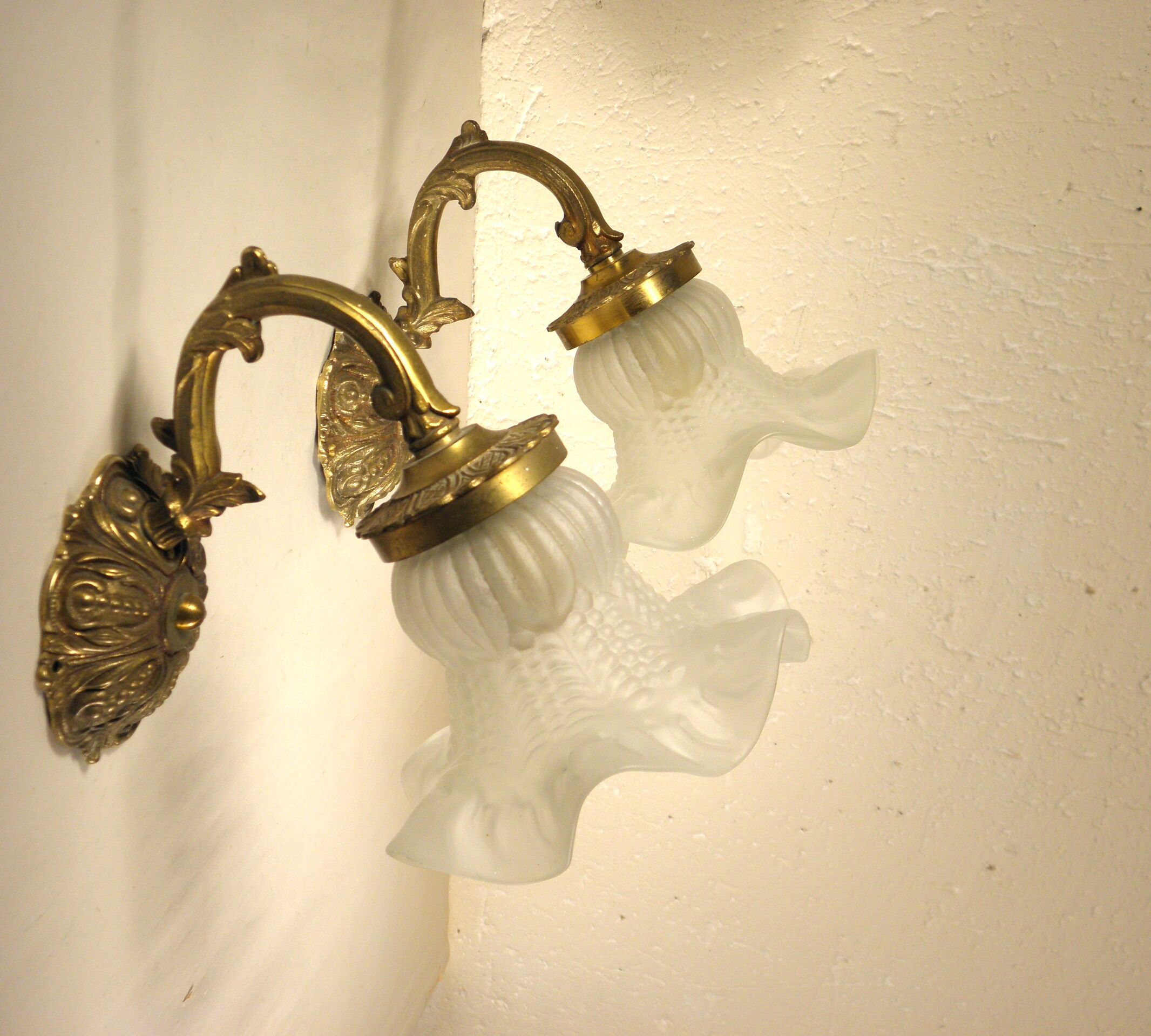 Pair of gooseneck sconces in brass and glass