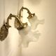 Pair of gooseneck sconces in brass and glass