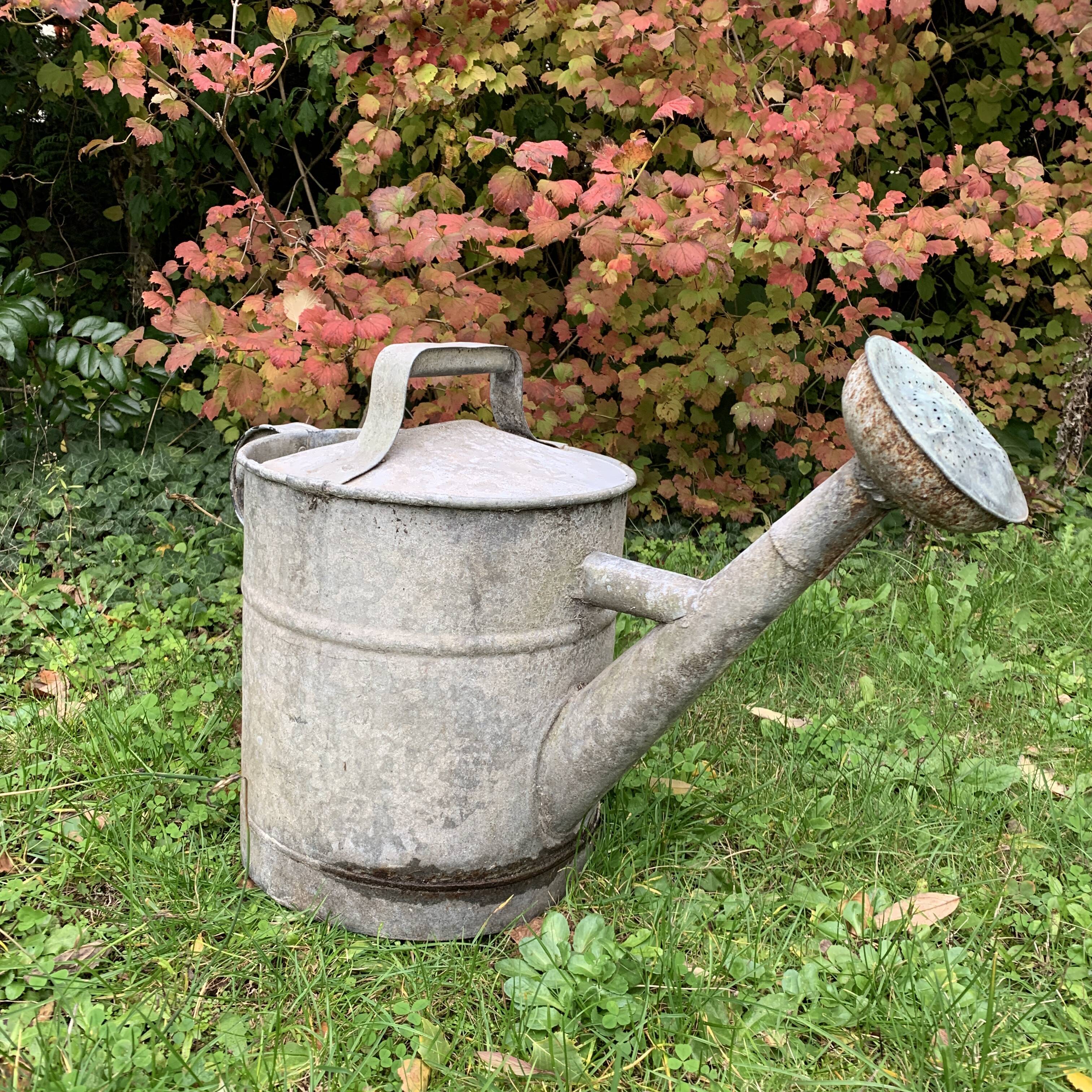 Zinc watering can