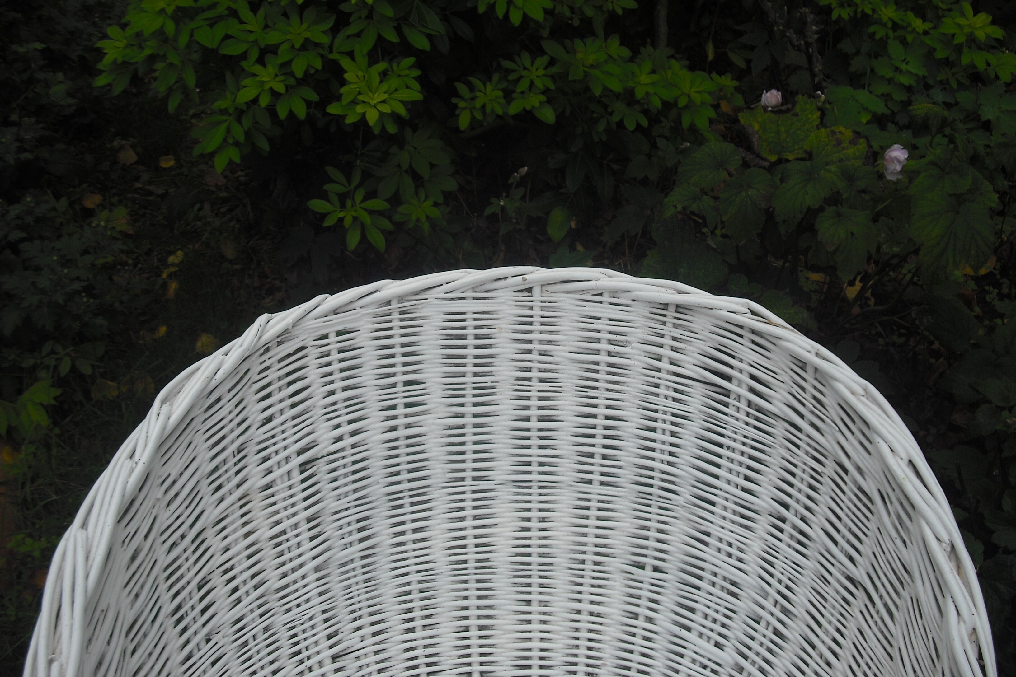 Pair of rattan basket chairs
