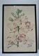 Three botanical boards framed orchid rhododendron campanule vintage medium