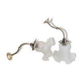 Glass wall light and brass swan collar, 1900