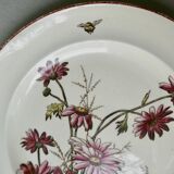 Set de 2 assiettes décor fleurs et abeilles, fin XIXème