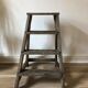 Stepladder painter