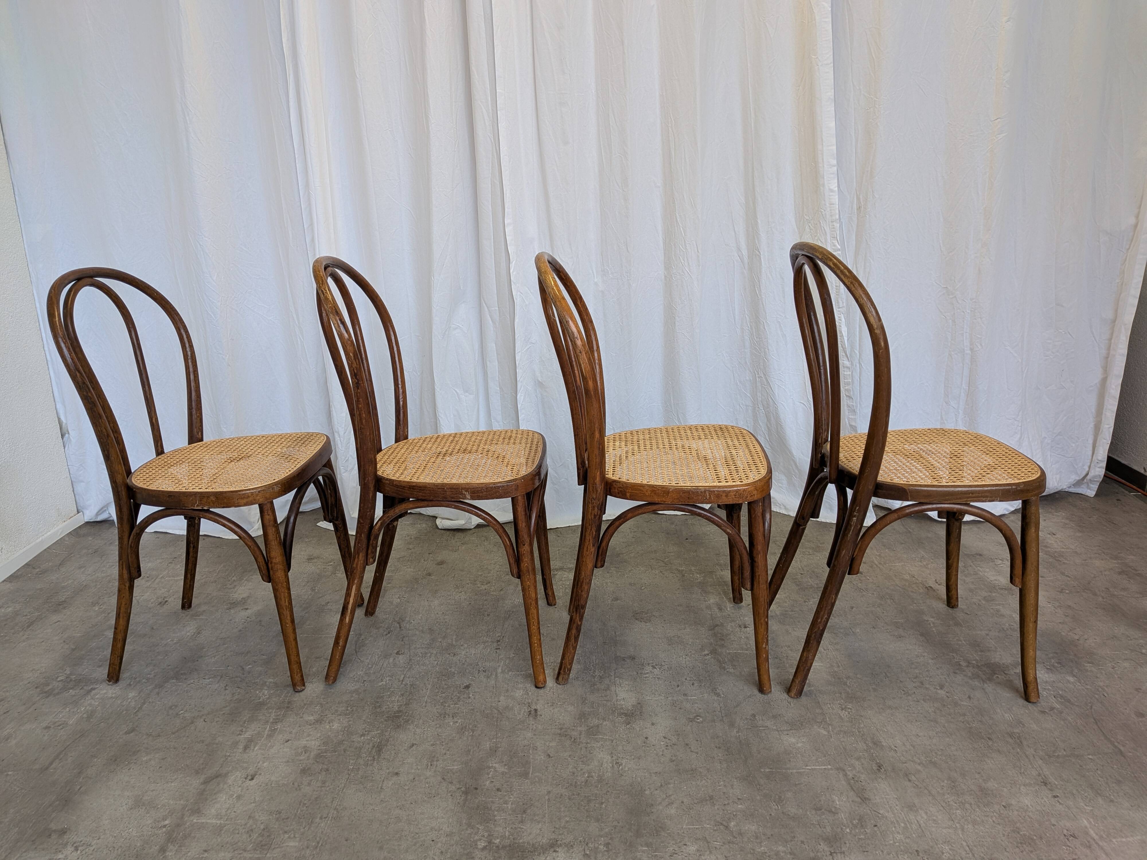 Set of 4 Vintage Thonet Style Dining Chairs: Bentwood Cane Seat, 1970s Bist