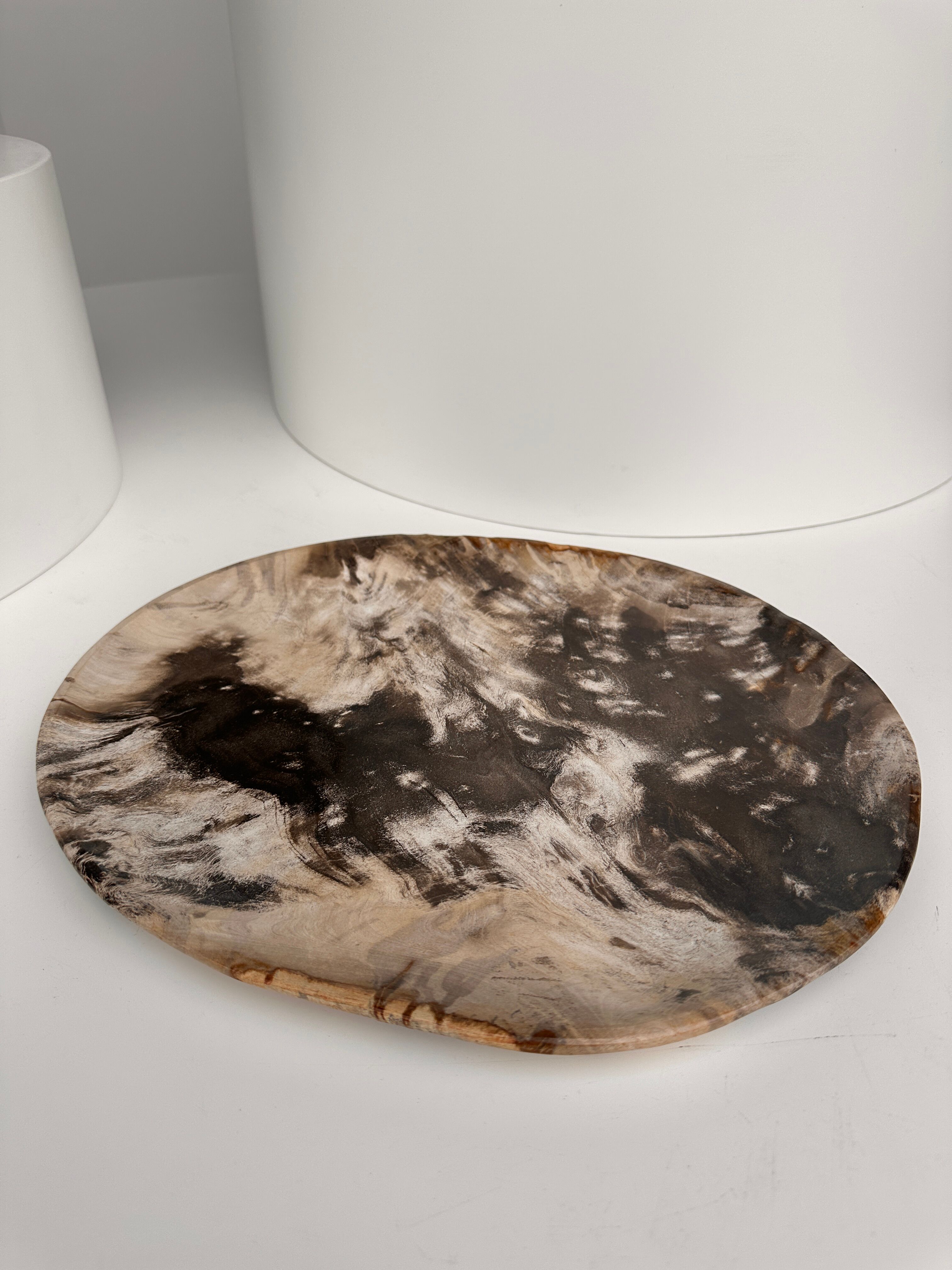 Very large empty pocket or petrified wooden flat